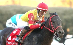 Jockey